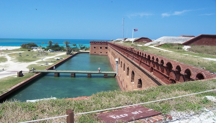 Mote at Ft Jefferson