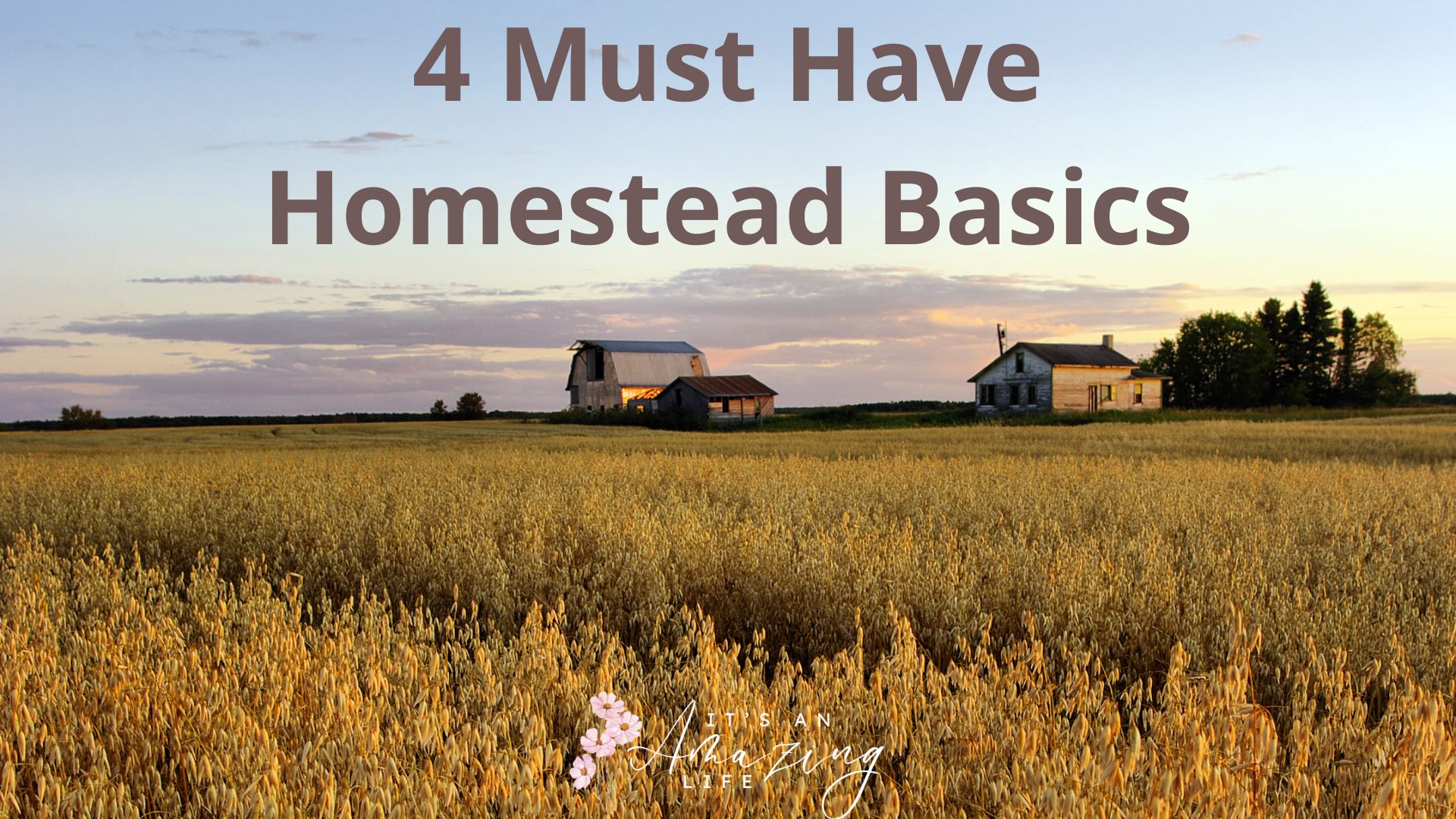 homestead living of the grid farm