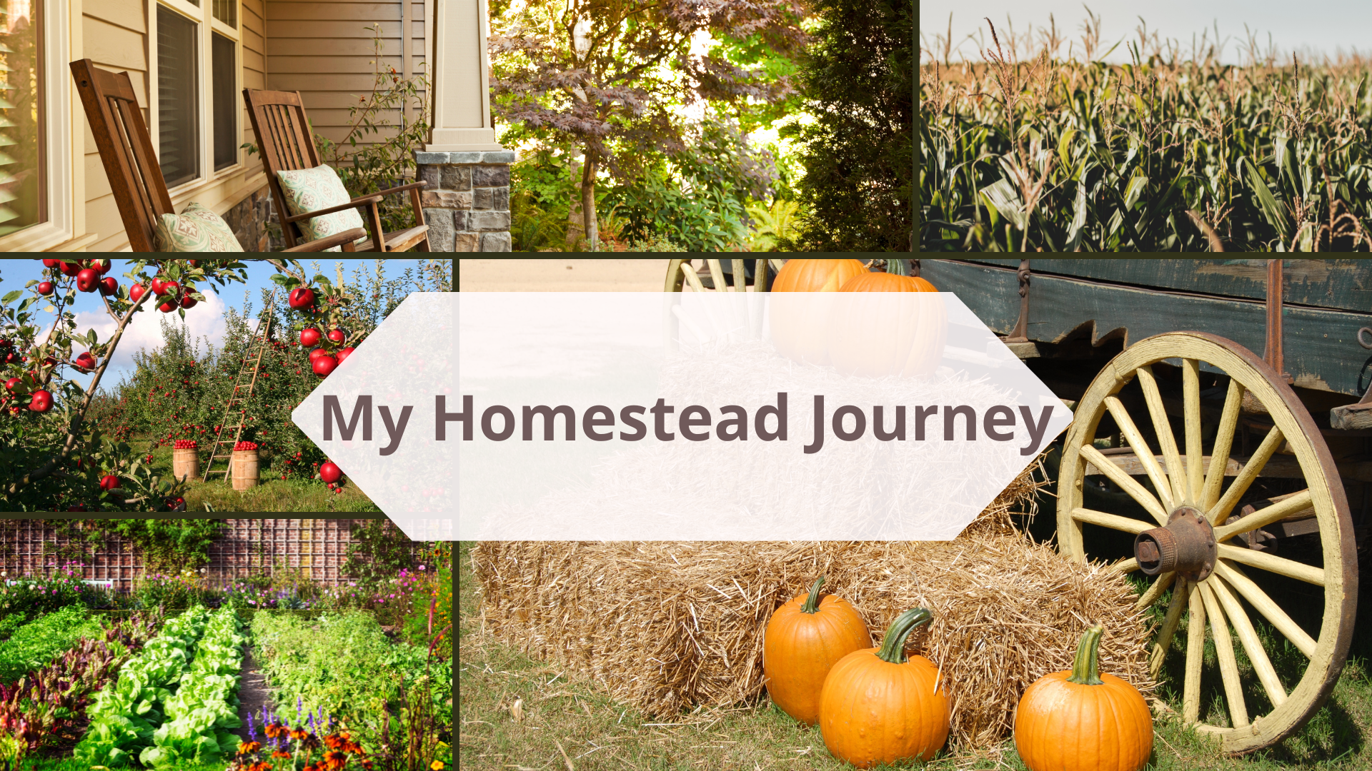 wagon garden relaxing homestead porch