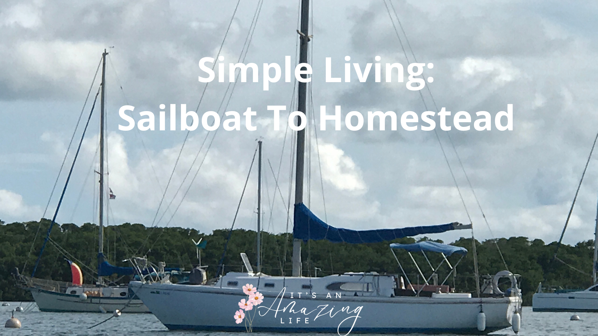 sailboat in the water