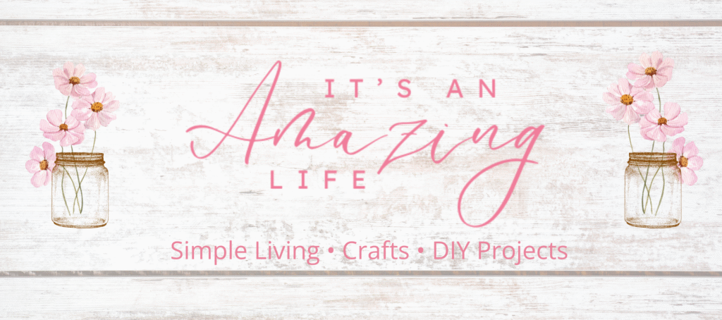 home It's An Amazing Life 